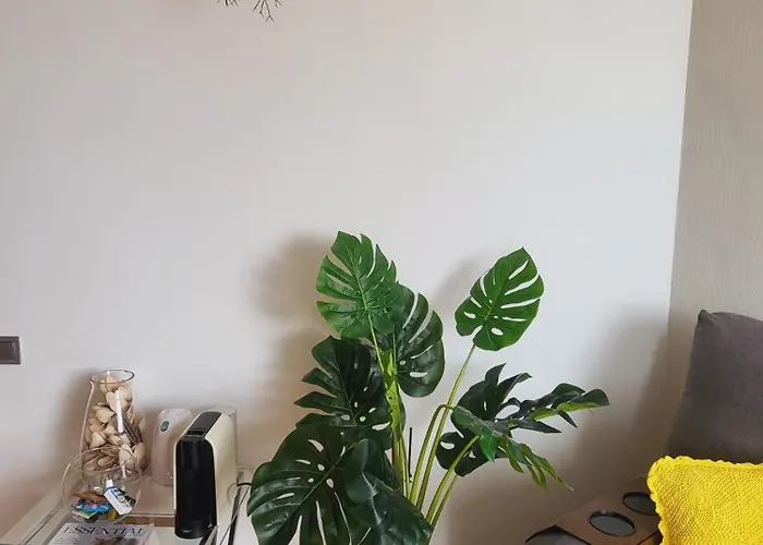 Personal 2 Funchal (Madeira)